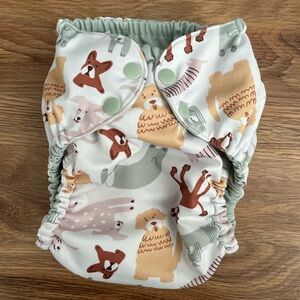 Esembly Outer Cloth Diaper Size 2